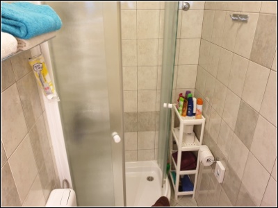 1B bathroom with shower