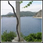 Panoramic view from 1C terrace